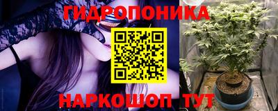 меф Кингисепп