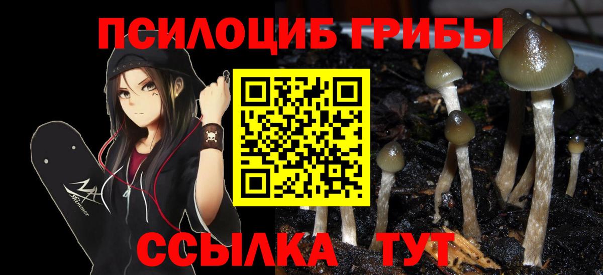 Псилоцибиновые грибы Magic Shrooms Кувандык