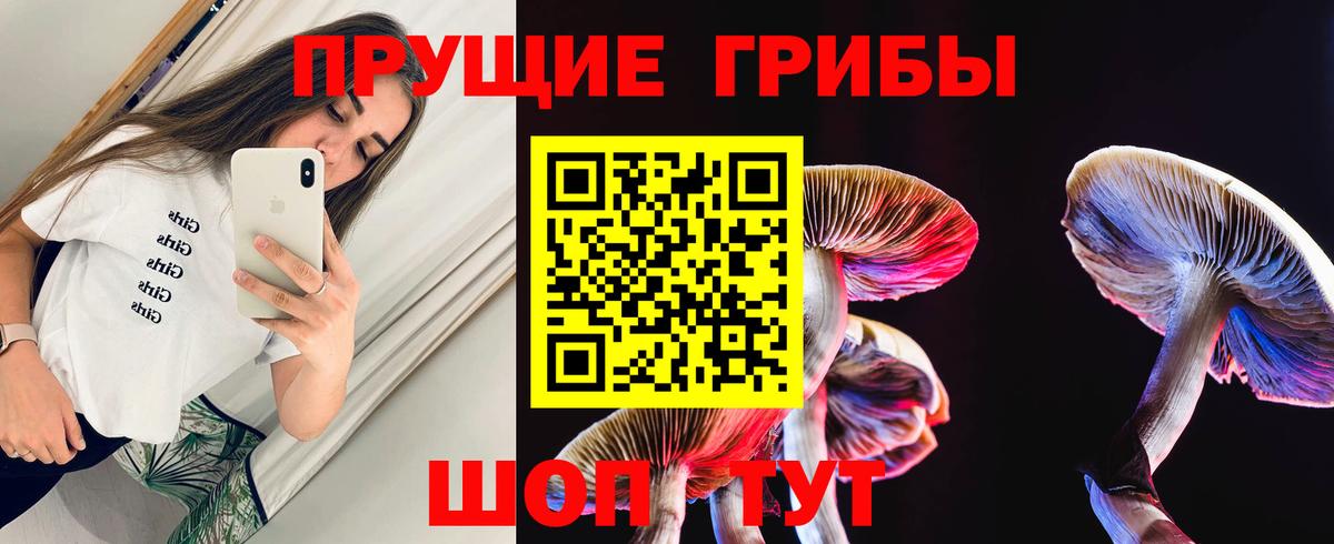 магазин  наркотиков  Галлюциногенные грибы Magic Shrooms  Вход с VPN  Кувандык 